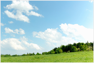 成年後見制度とは
